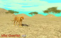Wild Cheetah Sim 3D Screen Shot 0