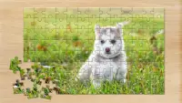 Jigsaw Puzzles: Magic jigsaw puzzle games for free Screen Shot 7