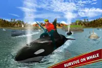 Sea Hero Water Adventure Screen Shot 8