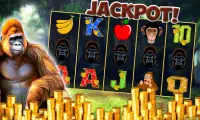 Slots Jungle Wild Kong Casino Screen Shot 1