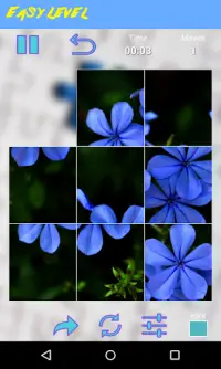 Flowers Jigsaw Puzzle Screen Shot 2