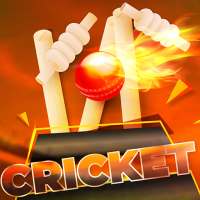 Liga Cricket Indiana 2019: Copa do Mundo Premier