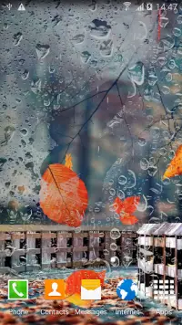 Autumn Forest Live Wallpaper Screen Shot 3