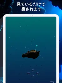 深海魚チョウチンアンコウの育成 Screen Shot 5