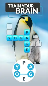 Words and Animals - Crosswords Screen Shot 2