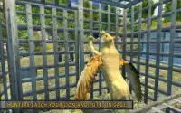 Flying Lion - Wild Simulator Screen Shot 3