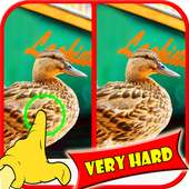 Find Difference Game Duck