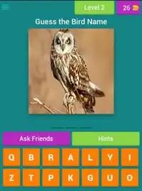 Bird Name Quiz Screen Shot 3