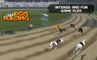 Crazy Dog Racing Screen Shot 6