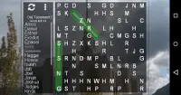 LDS Word Search Puzzle Screen Shot 1