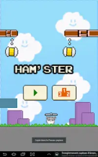 Save My Hamster Screen Shot 1