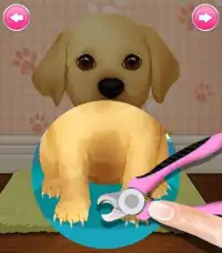 Pet Salon - Best Free Pet Game Screen Shot 6