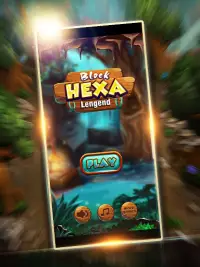 Block Hexa Legend - Brain Game Puzzle Screen Shot 0