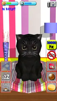 Kitty lovely 🐱 Virtual Pet Screen Shot 7