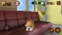 Pomeranian Dog Simulator Screen Shot 6