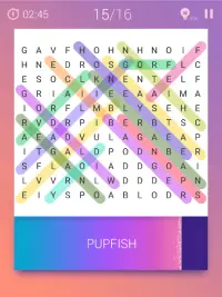 Word Search Puzzle Screen Shot 12