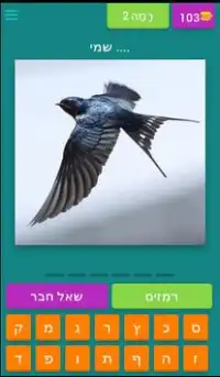 חידון הציפורים Screen Shot 2