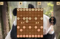 Chinese Chess - Xiangqi Screen Shot 27