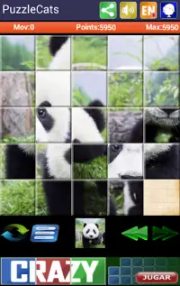 Sliding Puzzle Cats Screen Shot 1