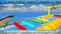 Dolphin Race Simulator Screen Shot 2