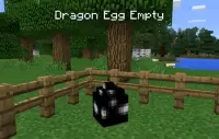 Dragons Mods for MCPE Screen Shot 2