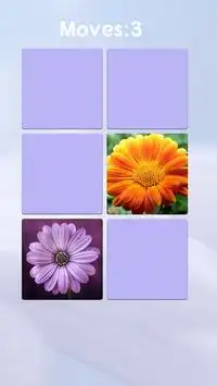 Flower Memory Screen Shot 0