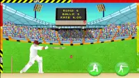 Cricket - Defend the Wicket Screen Shot 3
