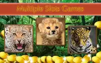 Angry Cheetah Slot Wild Pokies Screen Shot 8