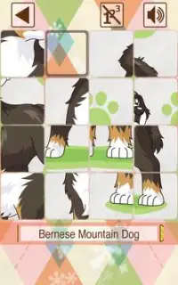 Dog and Slide Puzzle Screen Shot 1