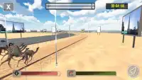 Markad Camel Racing Screen Shot 5