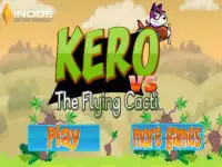 Kero vs Flying Cacti Screen Shot 0