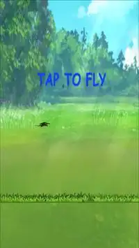 Dragon Fly Screen Shot 0
