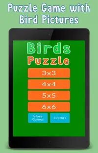 Jogo da Puzzle: aves e pássaros Screen Shot 7