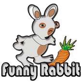 Funny Rabbit Go