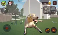 Labrador Simulator Screen Shot 1