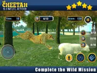 Angry Cheetah Wild Attack Sim Screen Shot 8