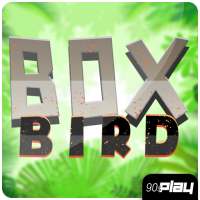 Box Bird