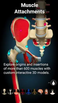 Anatomy Learning - 3D Atlas Screen Shot 3