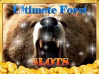 Ultimate Spirit Vegas Bear 777: Free Slots Machine Screen Shot 4