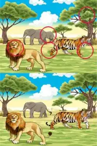 Find Difference Animals Game Screen Shot 3