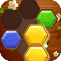 Hexa Puzzle: Wood Block Puzzle Game