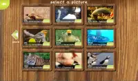 Jigsaw Puzzles with Cool Animal Pictures Screen Shot 16