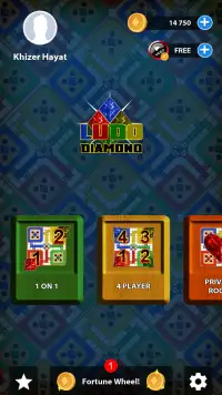 Ludo Diamond Screen Shot 1