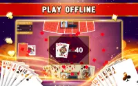 Sixty-Six Offline - Card Game Screen Shot 13