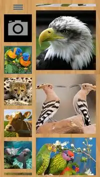 Животные головоломки Screen Shot 0