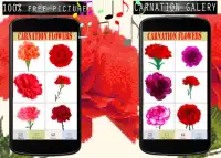 Carnation Flowers Color By Number-Pixel Art Screen Shot 5