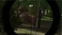 Jungle Sniper Tantangan Memati Screen Shot 2
