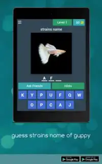 Guess Strain Name Of Guppy Fish Screen Shot 1