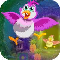 Best Escape Games 105 Pinky Bird Escape Game