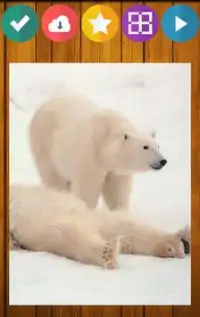 Bär Bären Puzzle Screen Shot 2